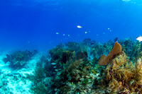 _MG_5825-Edit