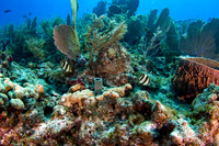 _MG_5830-Edit