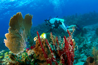 _MG_5848-Edit