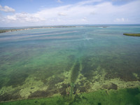 DJI_0029