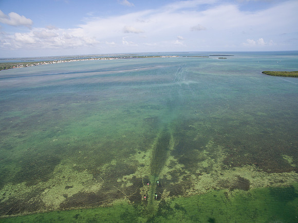 DJI_0029