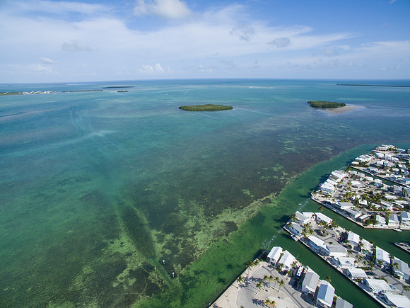 DJI_0031