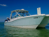 PA242310