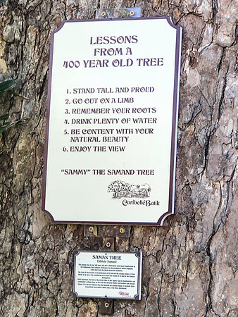 IMG_1988