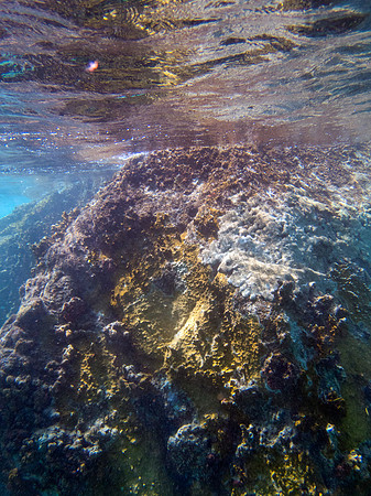 P3086989-Edit