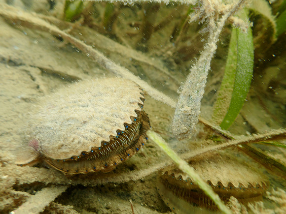 P7150778
