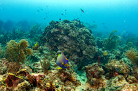 _MG_4900-Edit