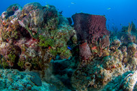 _MG_4908-Edit