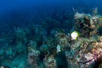 _MG_4841-Edit