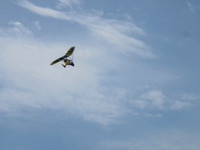 P5047935