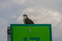 IMG_8189