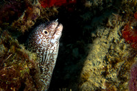 IMG_7465-Edit