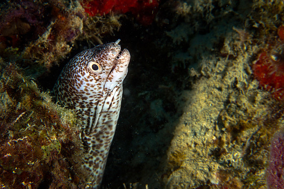 IMG_7465-Edit