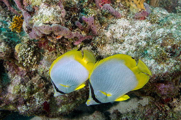 IMG_7717-Edit