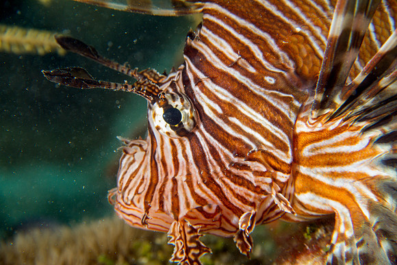 IMG_7770-Edit