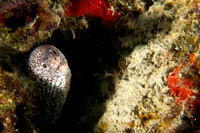 IMG_7470-Edit