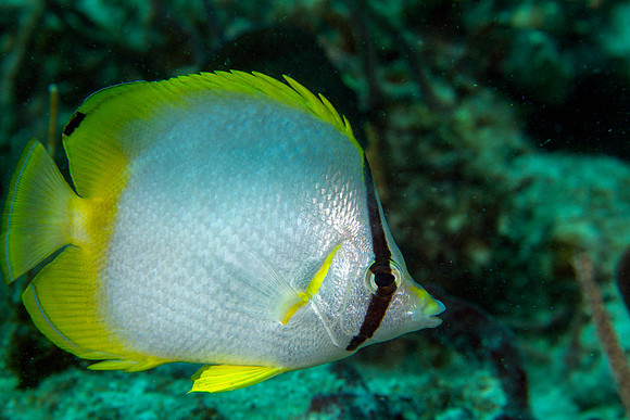 IMG_7662-Edit