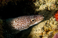 IMG_7474-Edit