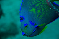 IMG_7497-Edit