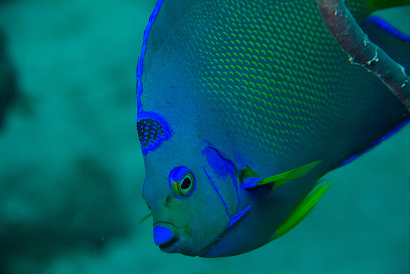IMG_7497-Edit