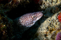 IMG_7475-Edit