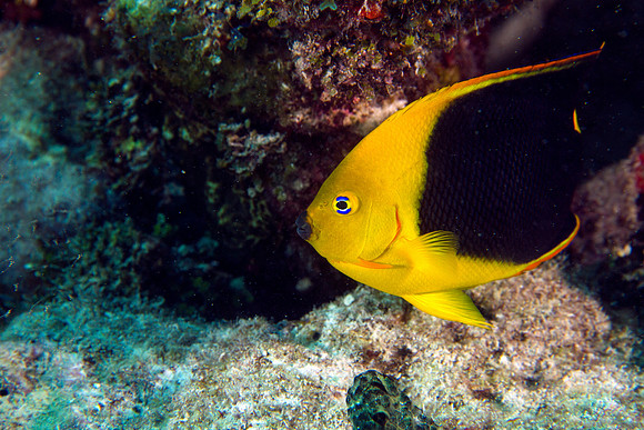 IMG_7701-Edit