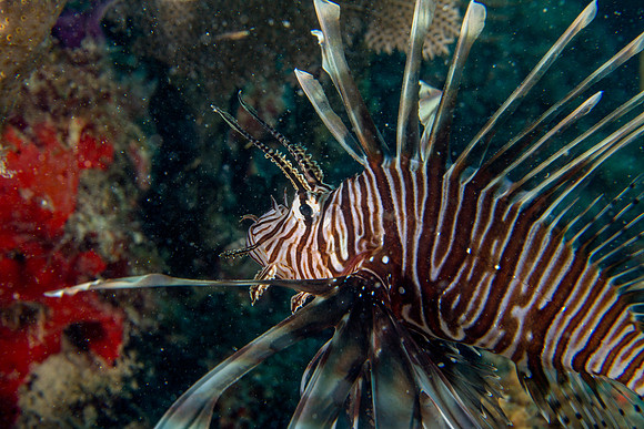 IMG_7578-Edit