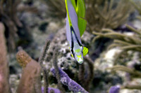 IMG_6918-Edit