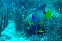 IMG_6975-Edit