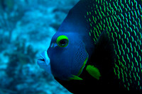 IMG_6937-Edit