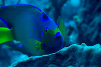 IMG_6927-Edit-2