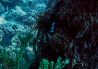 IMG_6941-Edit