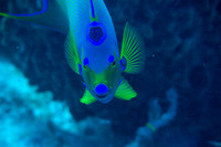 IMG_6926-Edit