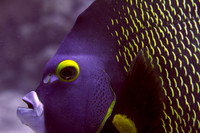 IMG_6936-Edit