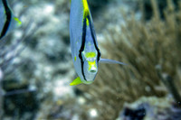 IMG_6979-Edit