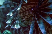 IMG_6944-Edit