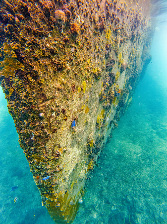 G0210216-Edit