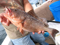 IMG_1582