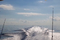 R6221774