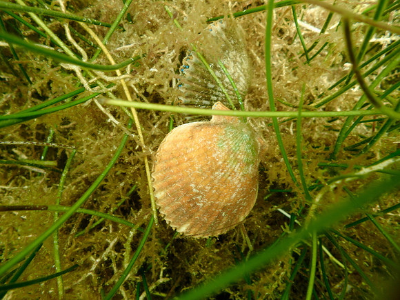 P7140733