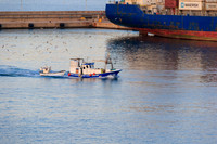 I72_6502