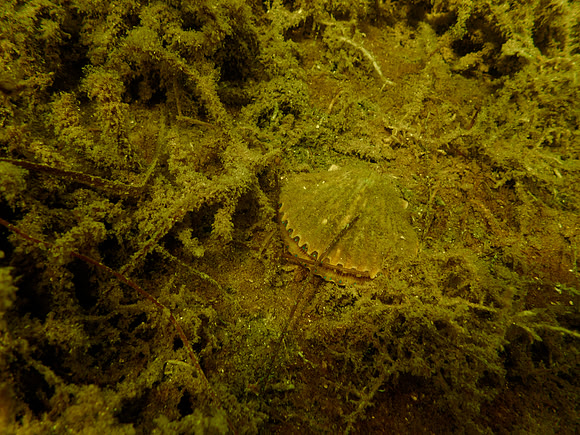 P7120553