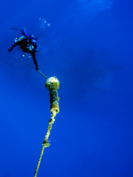 IMG_1385cropal-Edit2