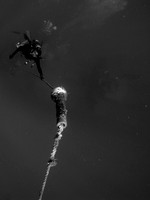IMG_1385cropal-Edit3