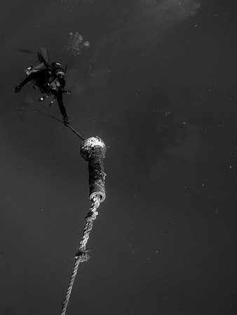 IMG_1385cropal-Edit3