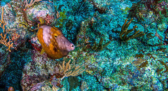 _MG_7189-Edit-Edit