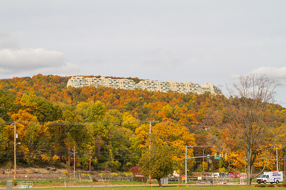 _MG_6912