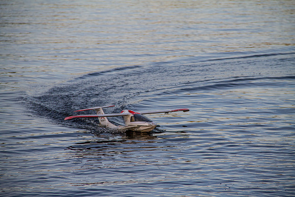 _MG_8992