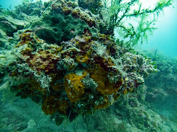G0130062-Edit