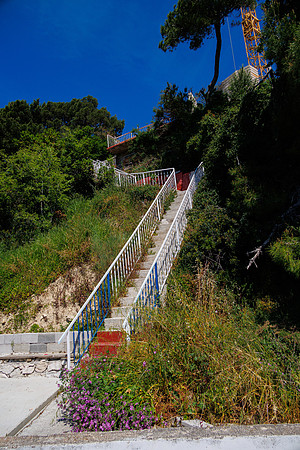 R6224632